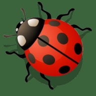 roter Marienkäfer